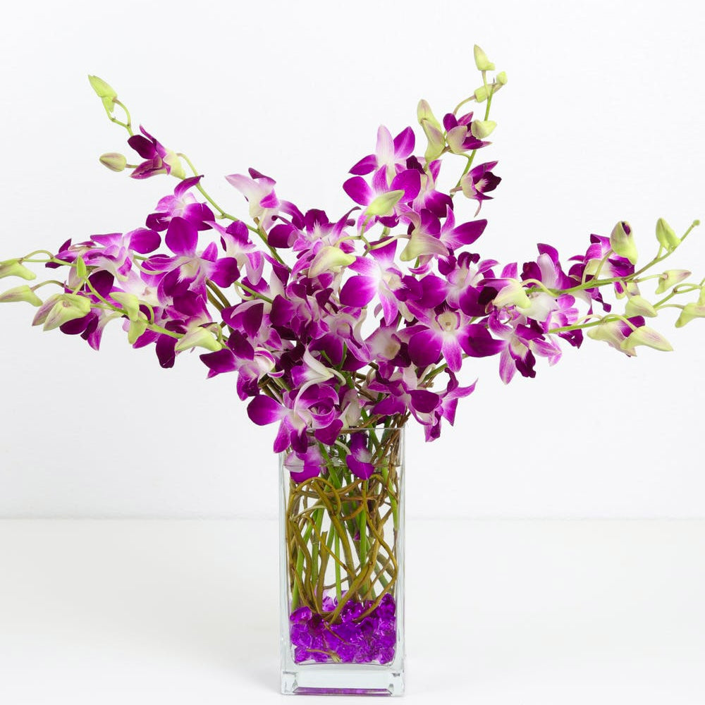 Purple Dendrobium Orchids in a Clear Vase