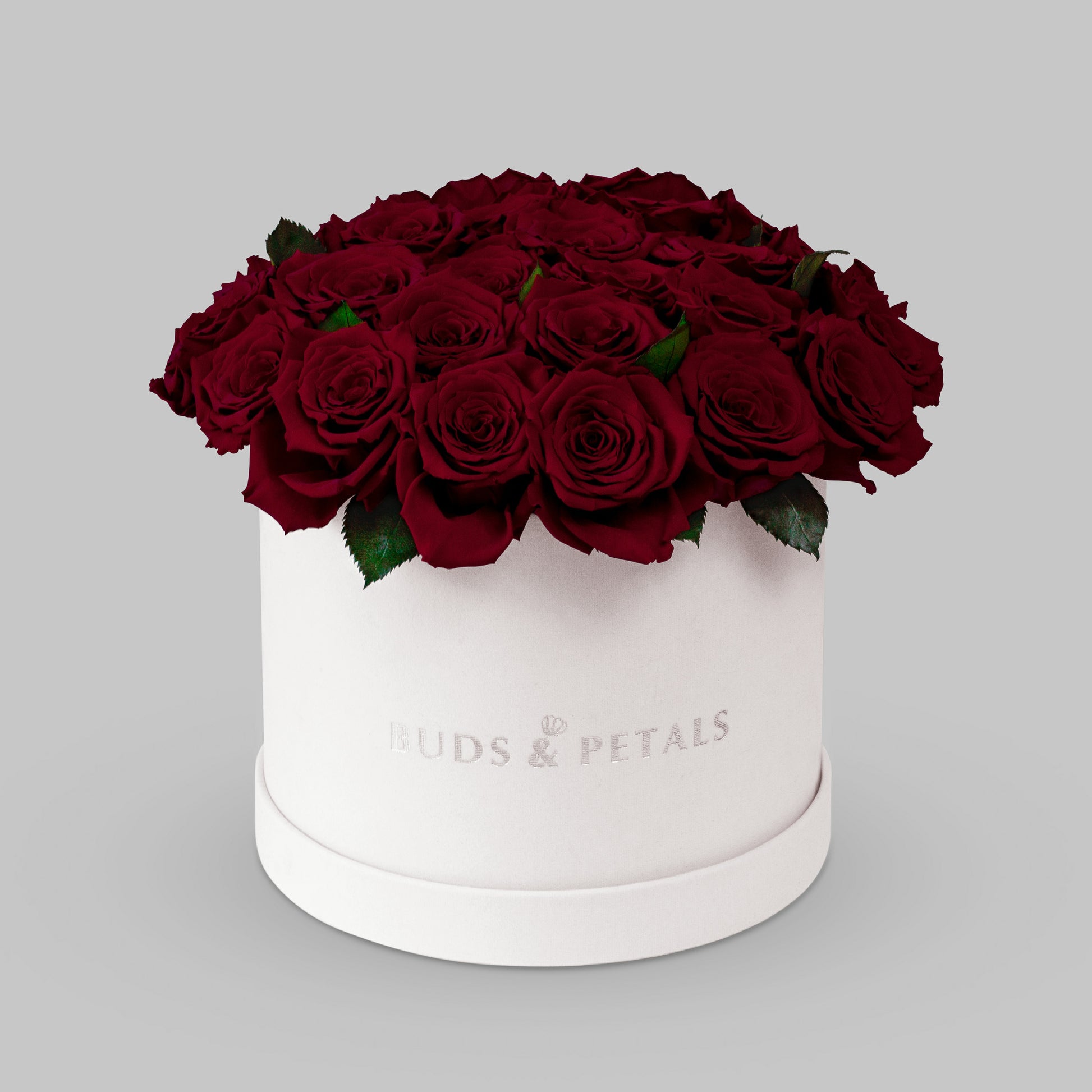 Preserved Roses Ina Large Velvet Box BUDS&PETALS