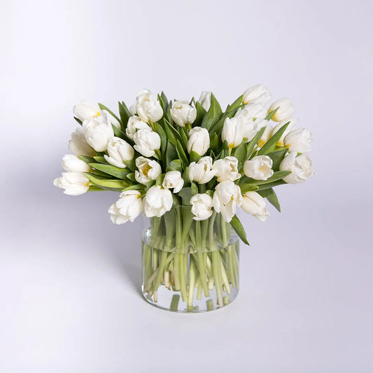 Single Color Tulips Arrangement in a Vase BUDS&PETALS