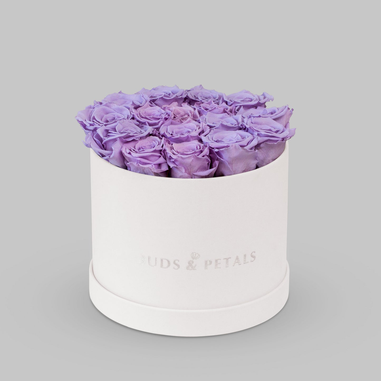 Preserved Roses In a Large Velvet Box BUDS&PETALS