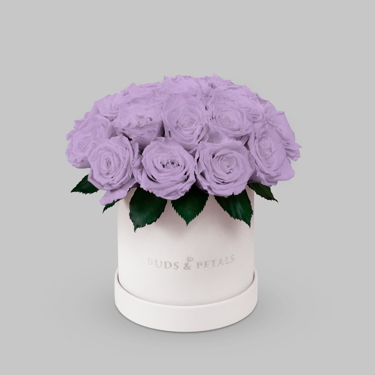 Violet Preserved Roses In a Medium Box BUDS&PETALS