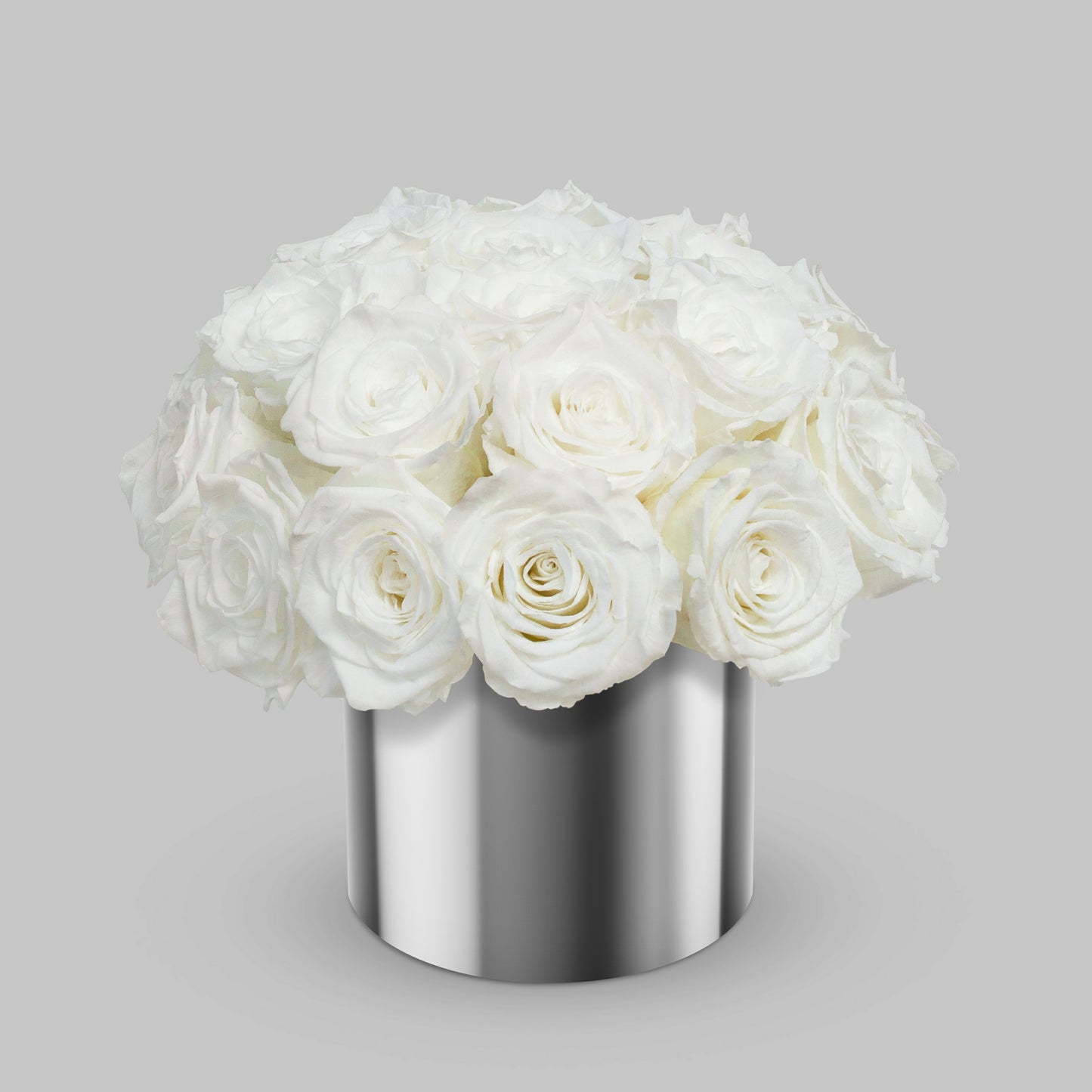 White Preserved Roses In a Vase BUDS&PETALS