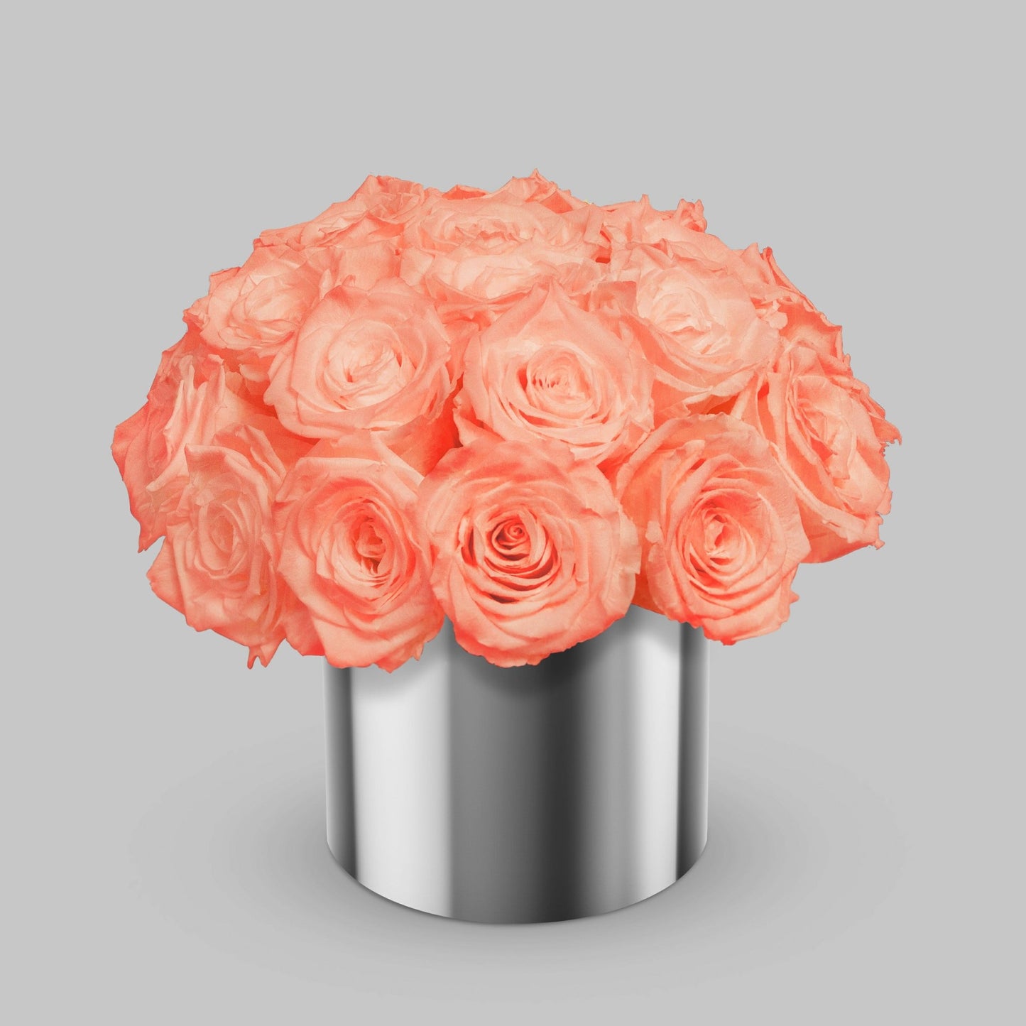 Apricot Preserved Roses In a Vase BUDS&PETALS