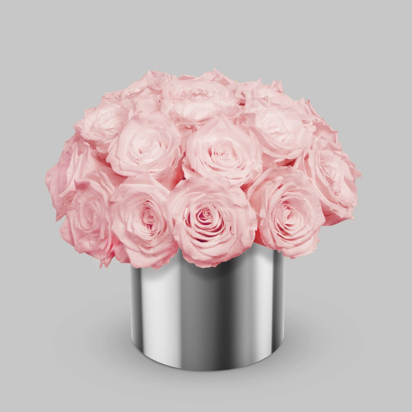 Blush Preserved Roses In a Vase BUDS&PETALS