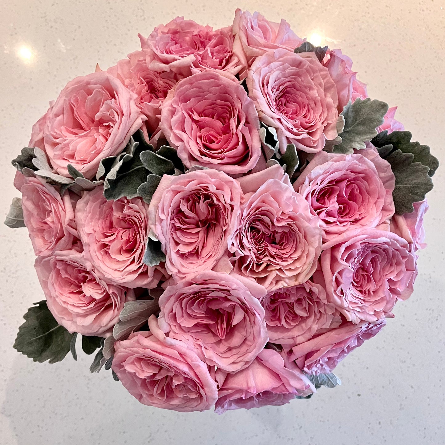 Pink O’Hara Garden Roses in a Vase