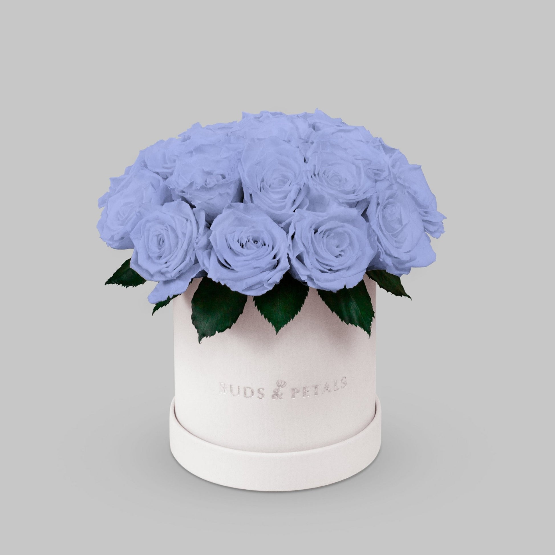 Lavender Preserved Roses In a Medium Box BUDS&PETALS