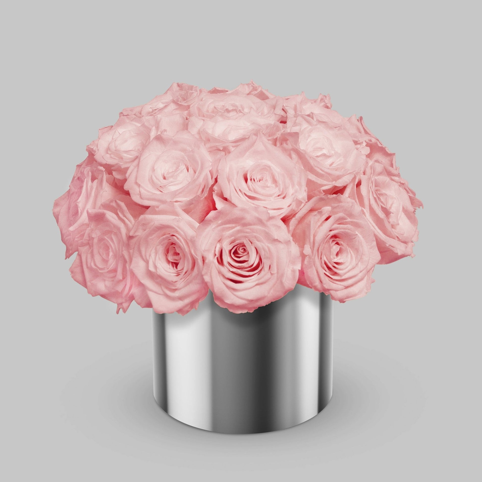 Light Pink Preserved Roses In a Vase BUDS&PETALS