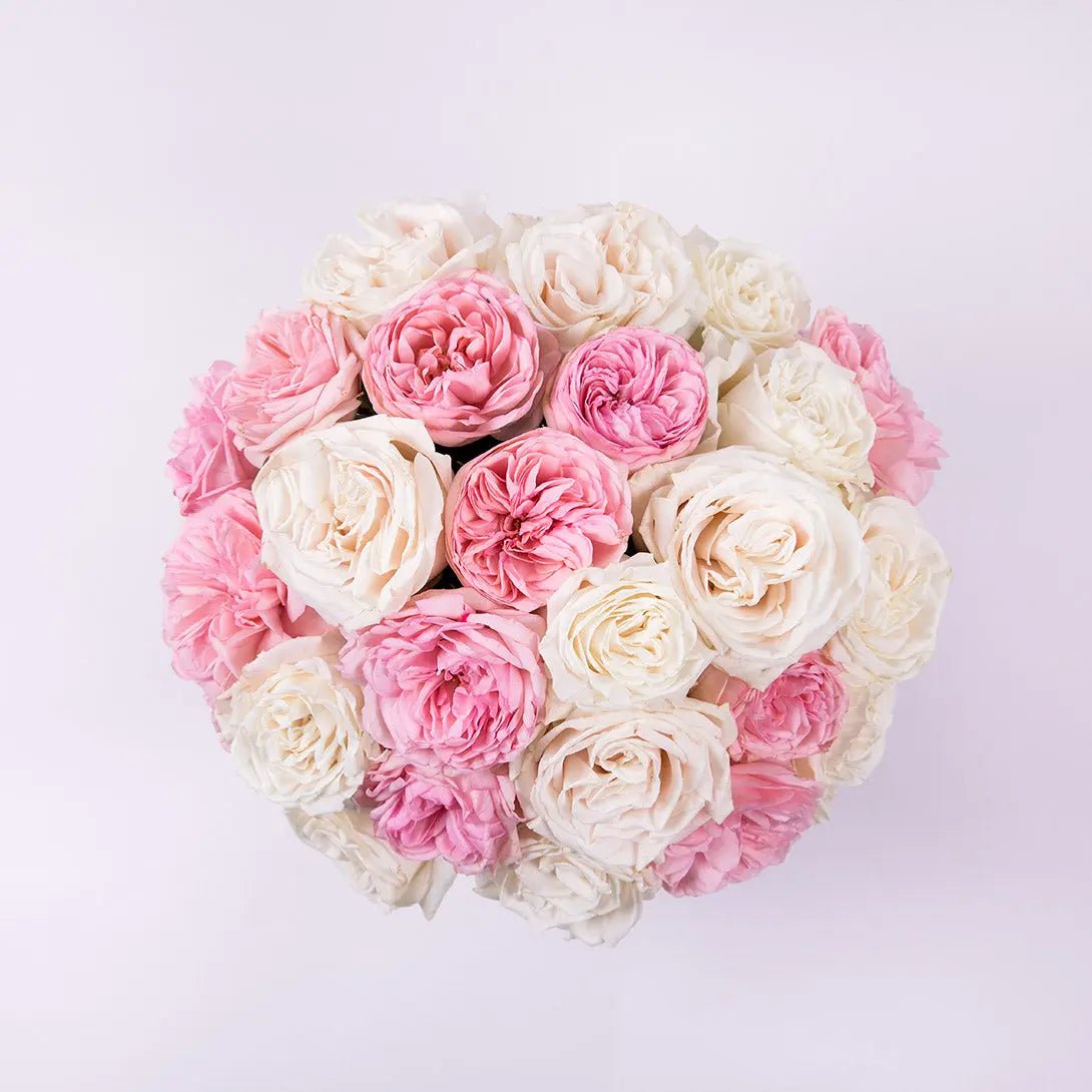 a magnificent mix of pink garden roses and white premium roses, top view